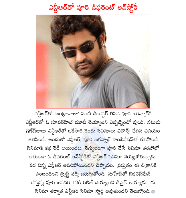 ntr latest movie details,ntr and poori jagannath combo movie,ntr and puri combo movie in january,puri doing variety love story with ntr,puri jagannath in business man shooting,actor ganesh babu producing ntr,puri jagannath movie  ntr latest movie details, ntr and poori jagannath combo movie, ntr and puri combo movie in january, puri doing variety love story with ntr, puri jagannath in business man shooting, actor ganesh babu producing ntr, puri jagannath movie
